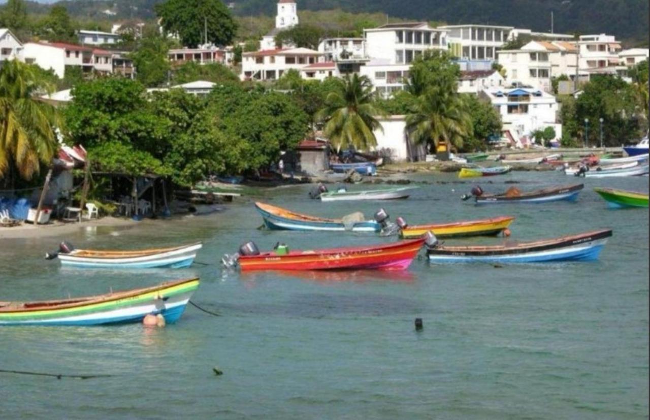 T2 Les Pieds Dans L'Eau Face A La Mer Des Caraibes Sainte Luce - Trois Rivieres Екстериор снимка